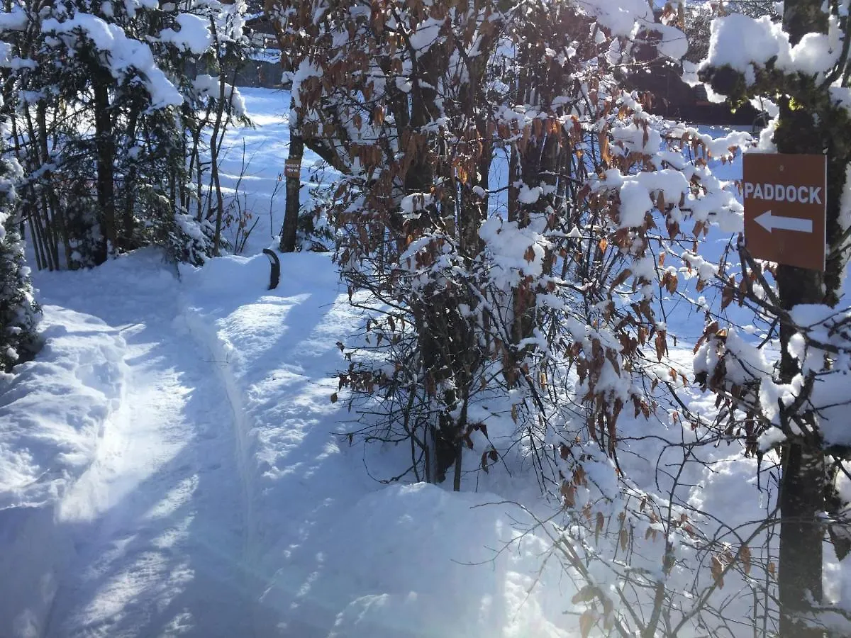 Chalet Le Paddock Saint-Gervais-les-Bains 0*,